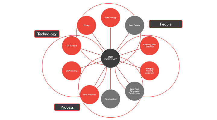 Scheme of an organization of effortless experience