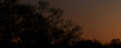 delaware sustainability report